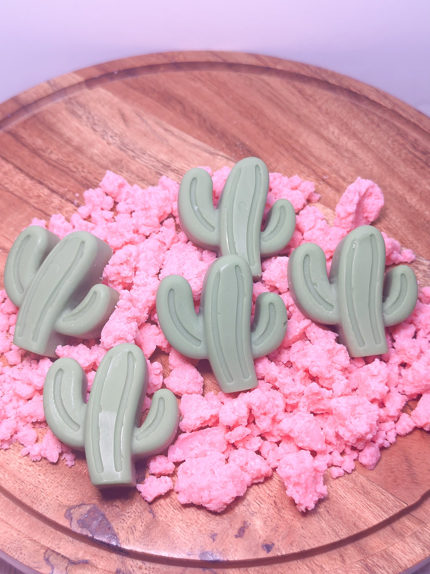 BAJA CACTUS Wax Melts