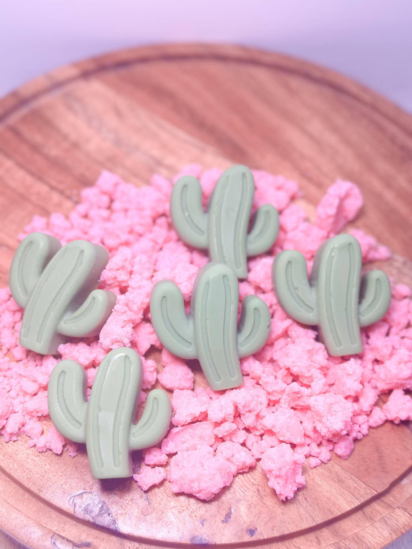 BAJA CACTUS Wax Melts