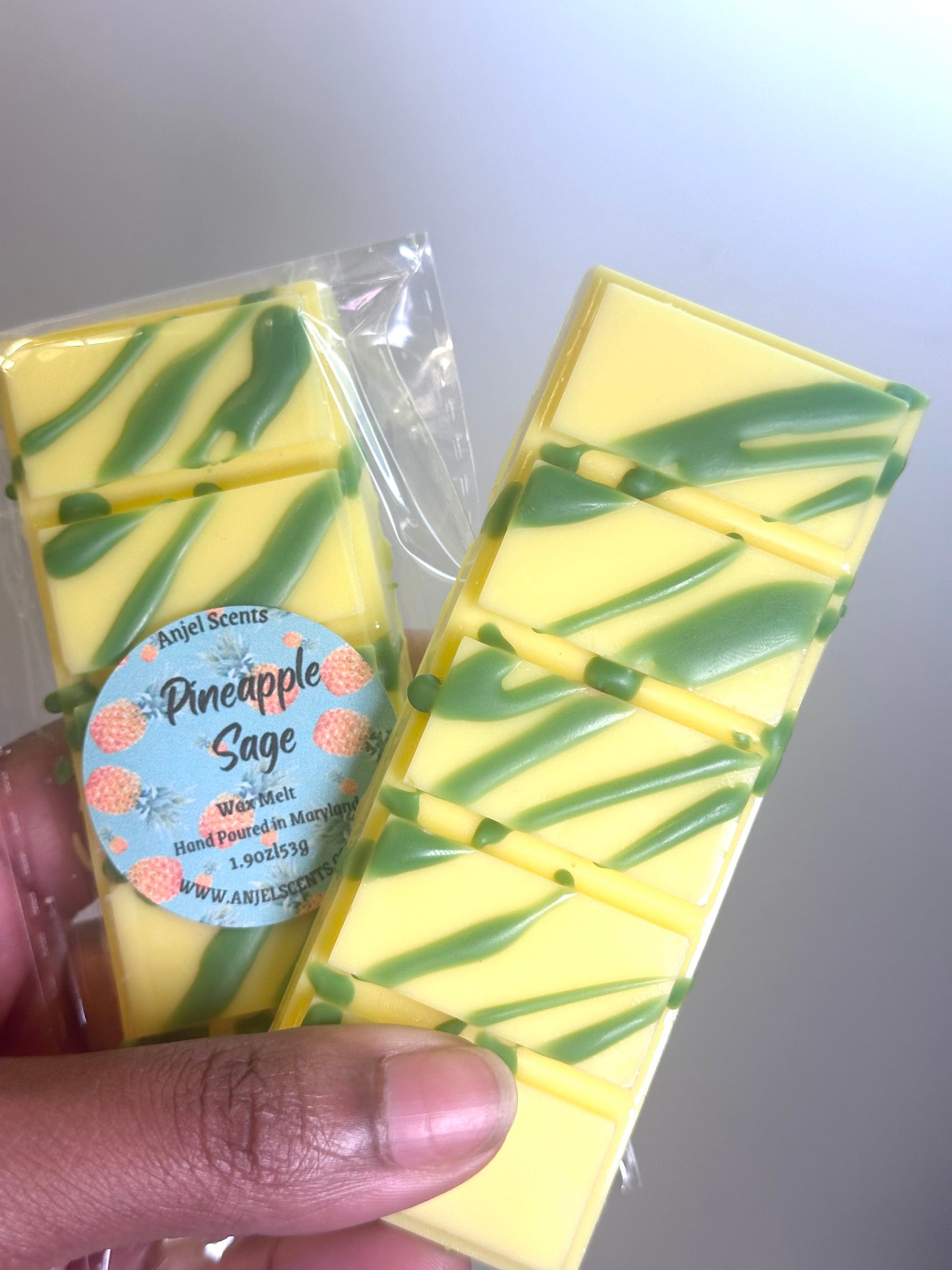 Snap Bar Wax Melts